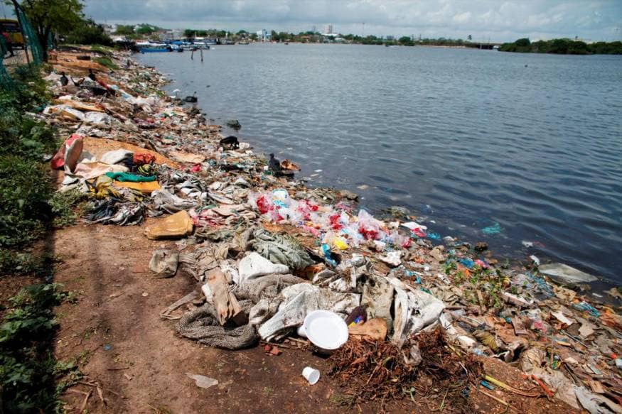 Colombia: delitos ambientales